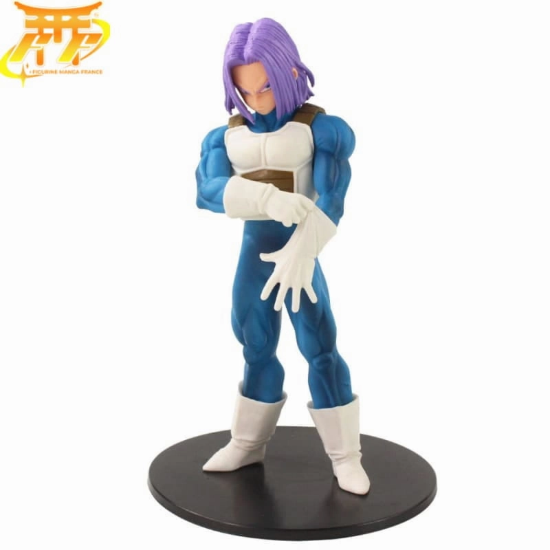 Figurine Trunks (Futur) - Dragon Ball Z? Daily Decor