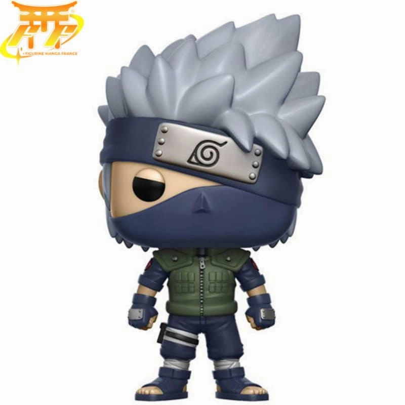 Bird Model Acrylic Stand Figurine POP Kakashi Hatake - Naruto Shippuden?