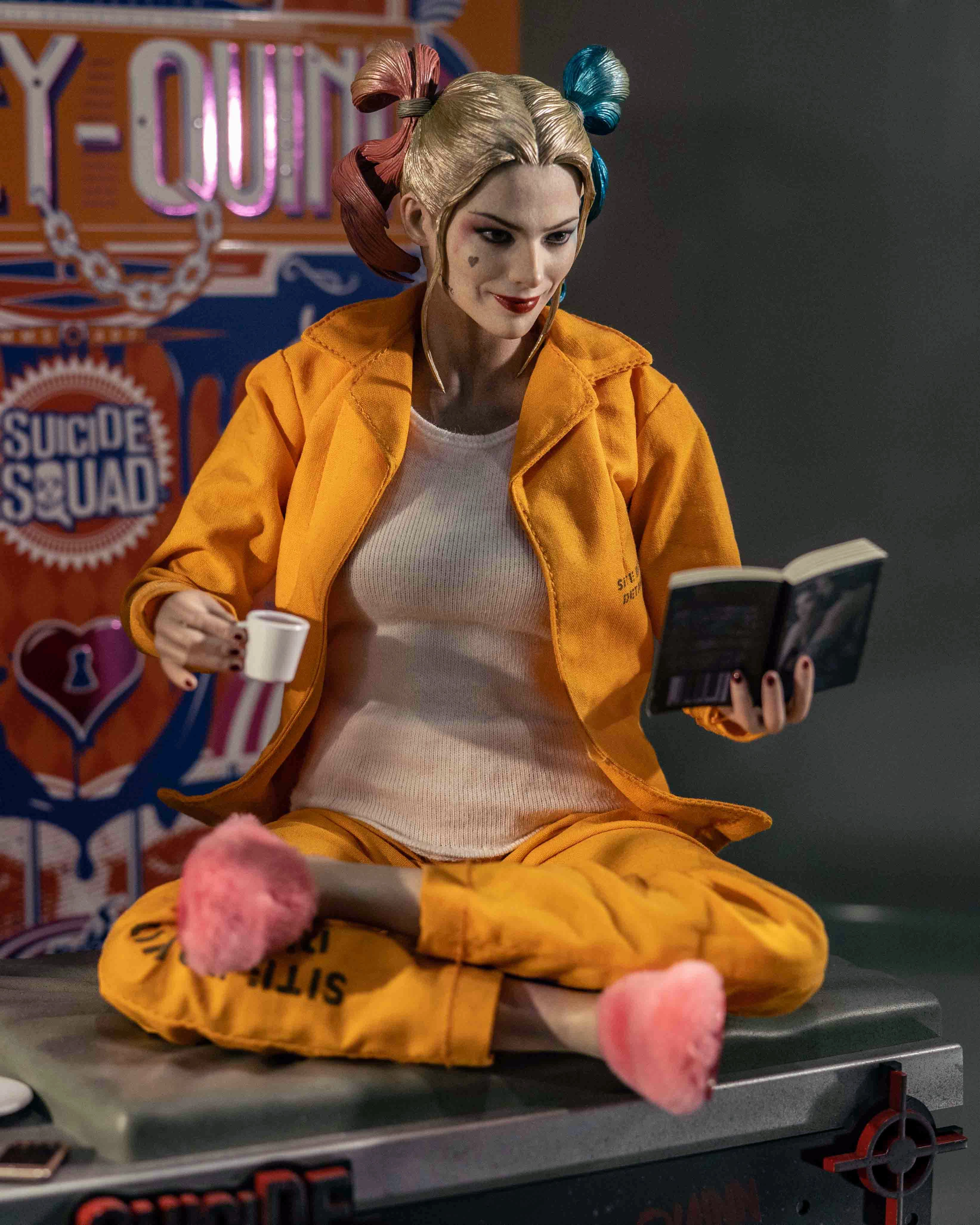 Limited Collectible Hot toys MMS407 DC Suicide Squad Harley Quinn Prisoner Version