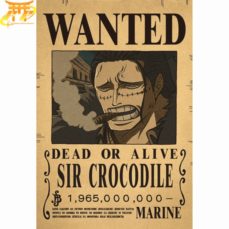 Poster Wanted Crocodile - One Piece? Research Project Satellite Model