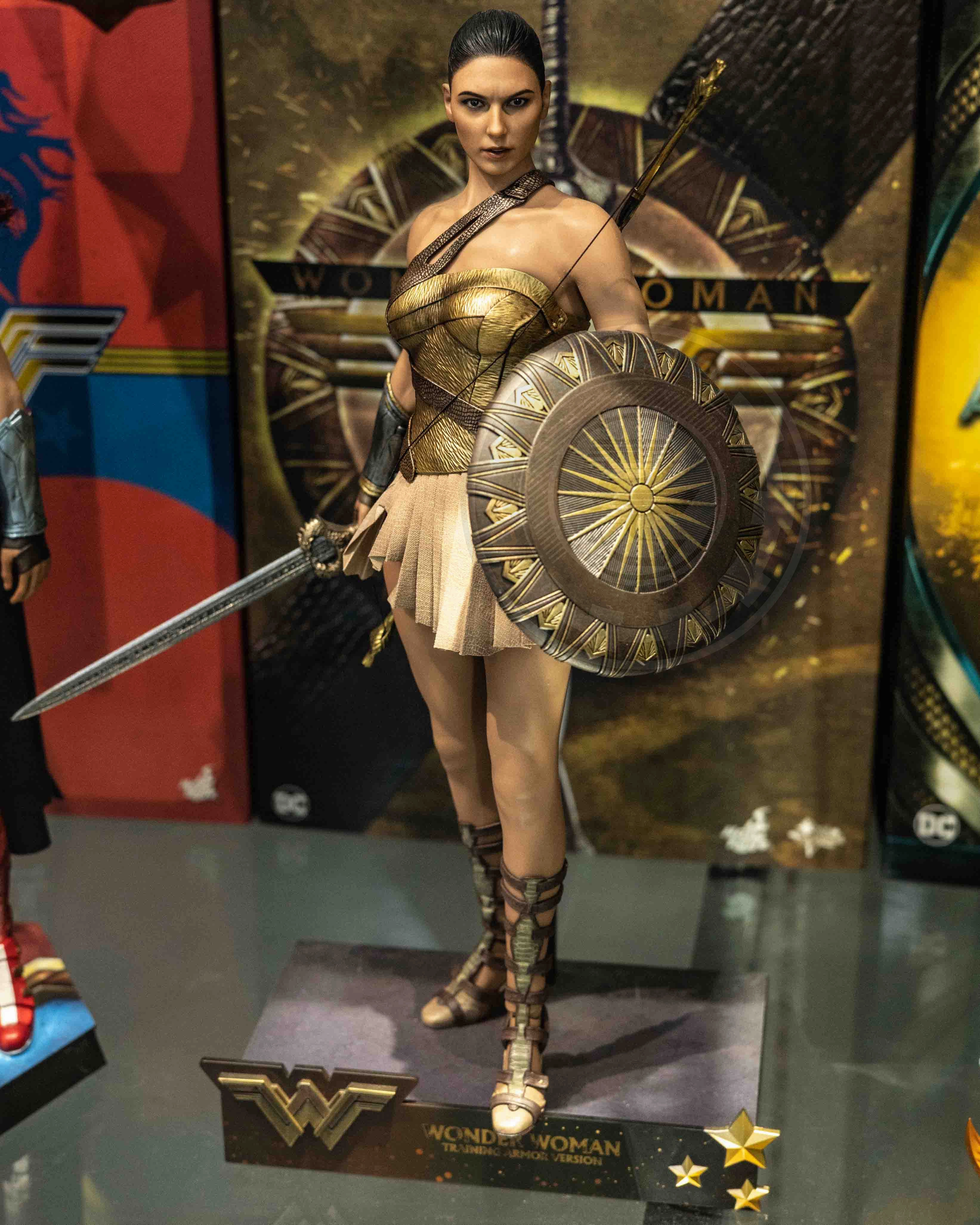 Hot toys MMS424 DC Wonder Woman Training Armor Version Action Creation Designer Article