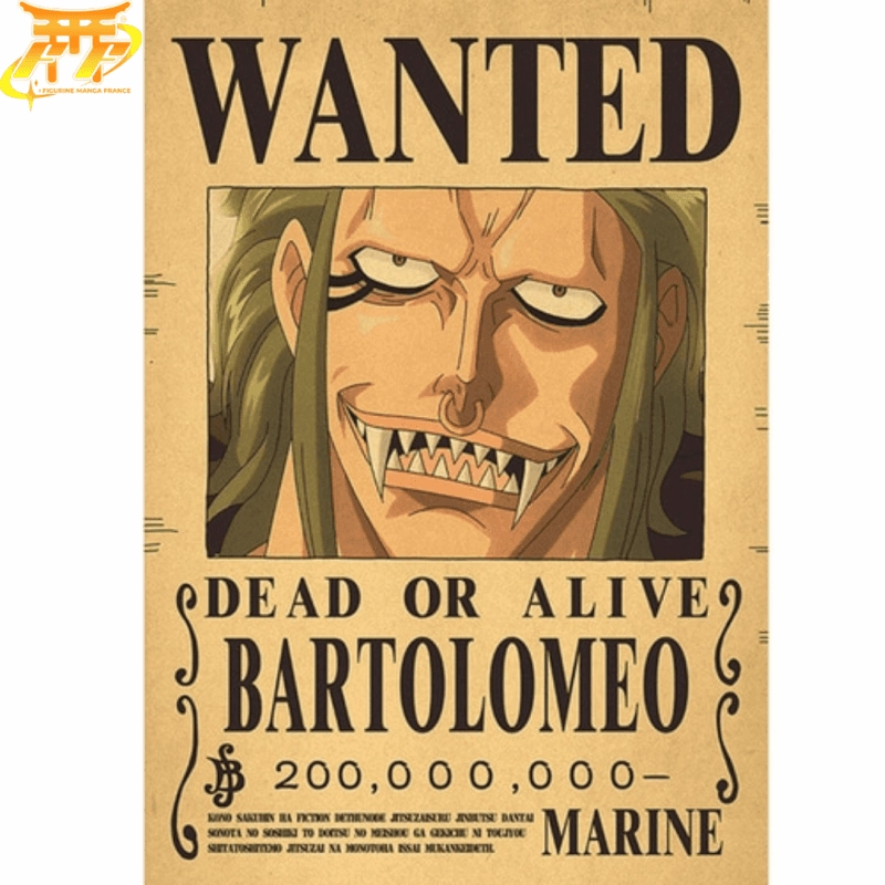 Society Improve Poster Wanted Bartolomeo - One Piece?