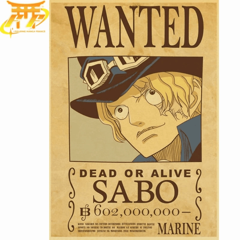 Function Expansion Gymnastics Poster Wanted Sabo - One Piece?