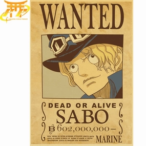 Function Expansion Gymnastics Poster Wanted Sabo - One Piece?
