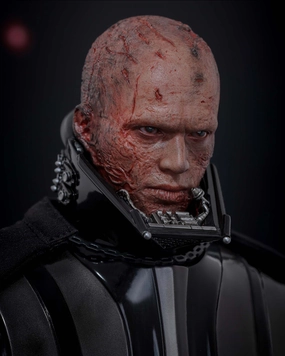 Miniature Object Impressionist Art Preorder! Hot Toys MMS811 Star Wars: Revenge of the Sith 1/6th scale Darth Vader Collectible Figure (Deluxe Version) Regular Edition